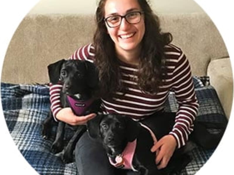 Canine Aquatic Center