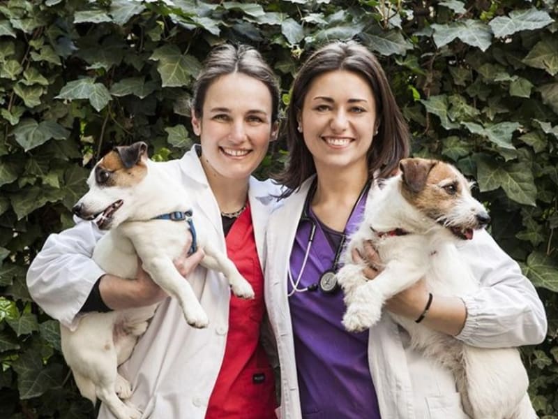 Ambulatorio Veterinario San Babila