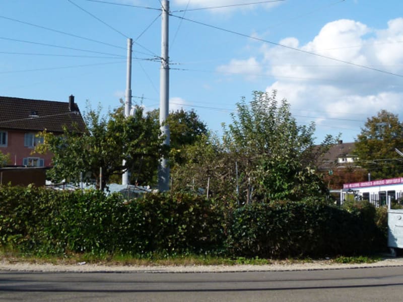 Kleintierpraxis Albisrieden