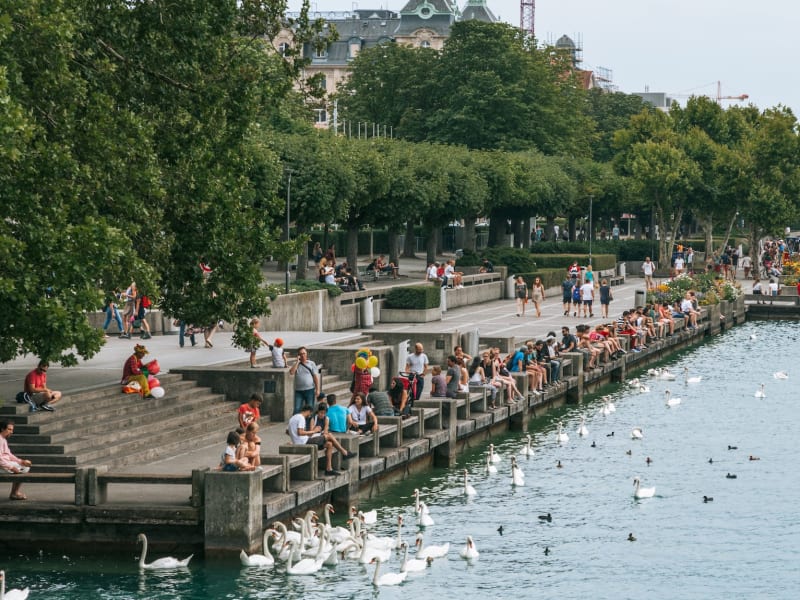Greifensee Lakeside Walk