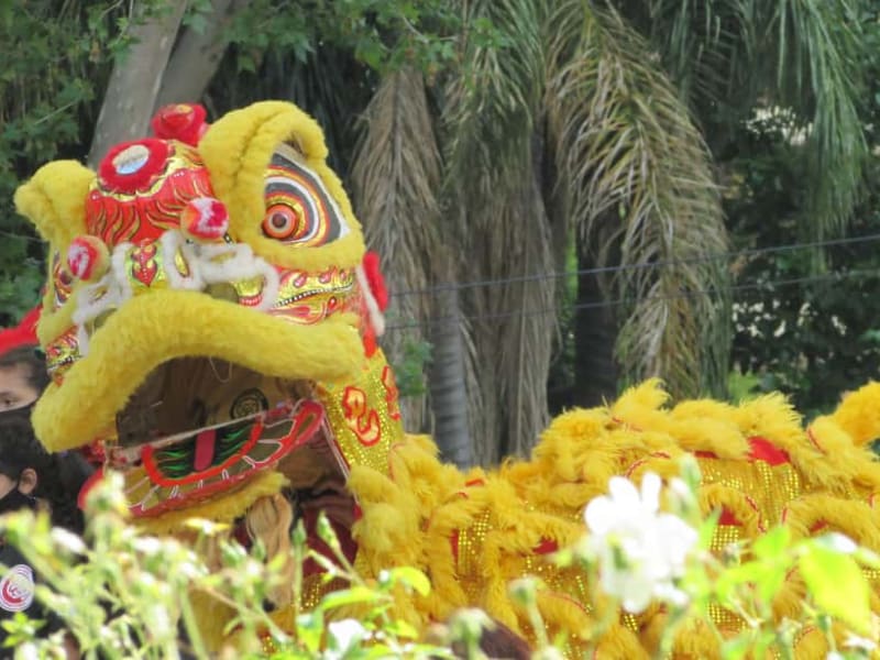 Belgrano Chinatown Walk