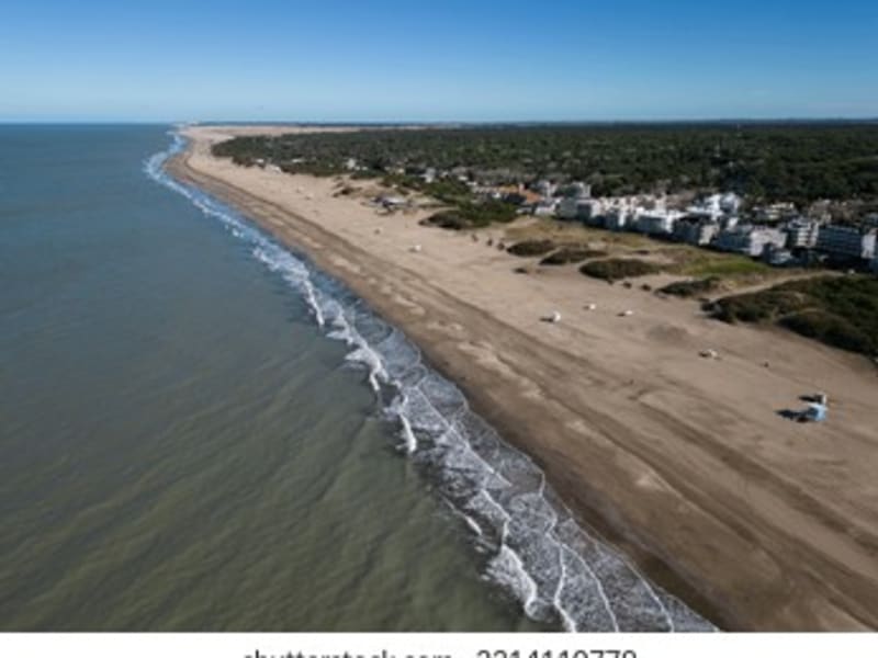 Cariló Beach with Dogs