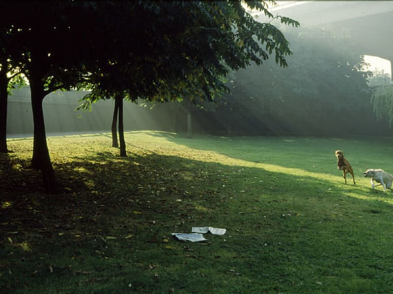 Off-Leash Areas Info