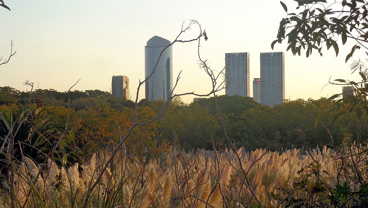 Reserva Ecológica Costanera Sur