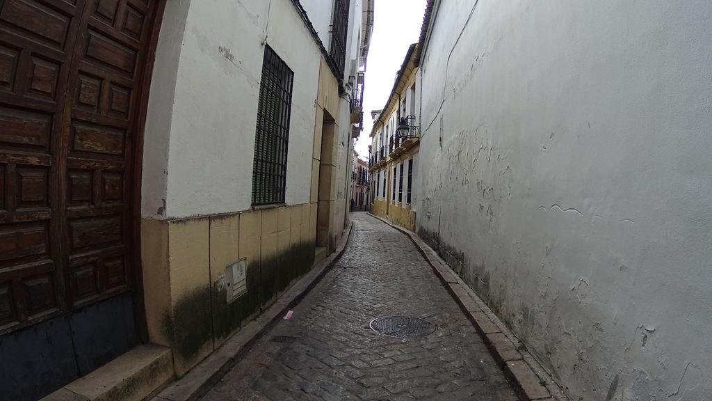 Peluquería Canina Amigos