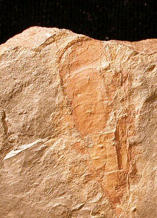 Sierra de Córdoba Day Trips