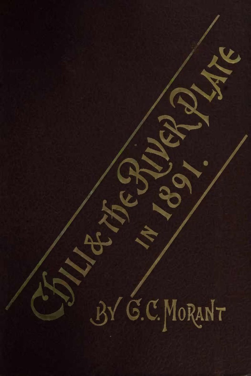 Buying Dog Supplies in Lisbon