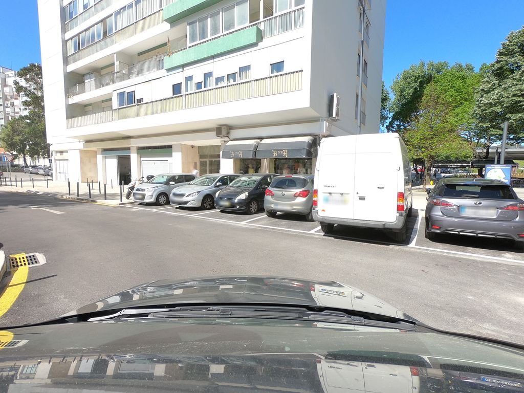 Clube Canino de Lisboa