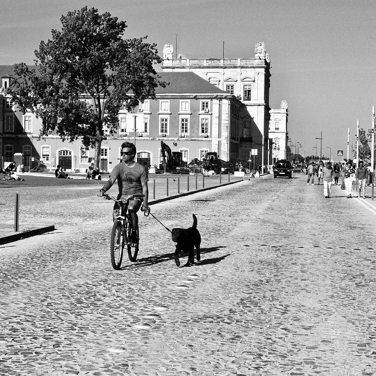 Dog Walking Lisboa