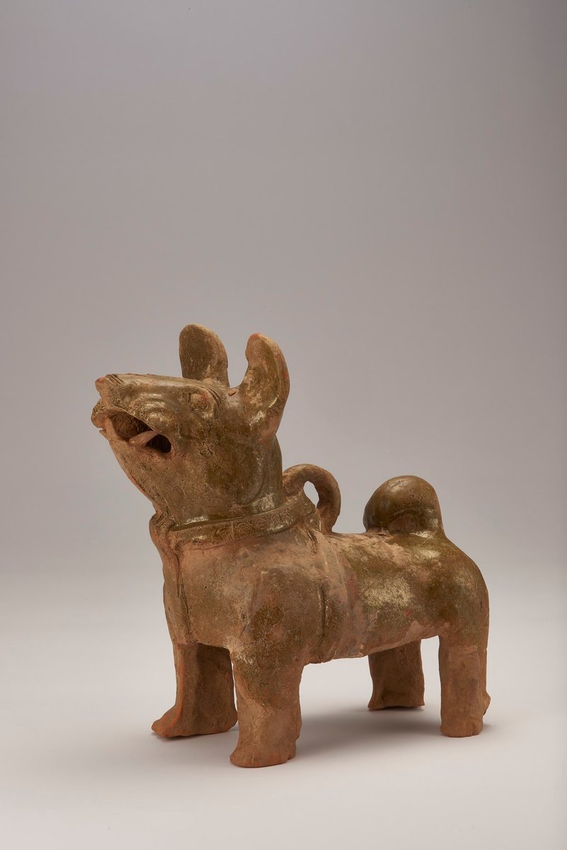 Lisbon Dog Community