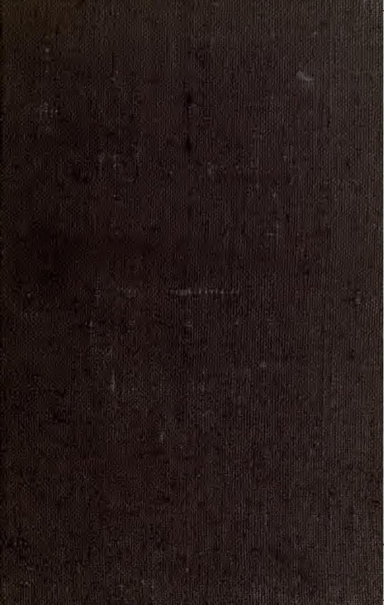 Lisbon Pet-Friendly Accommodation Tips