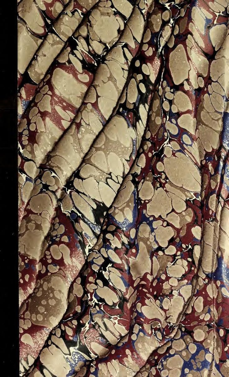 Adopting a Dog in Madrid