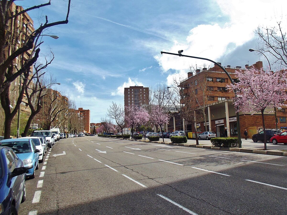 Camino de los Vinateros