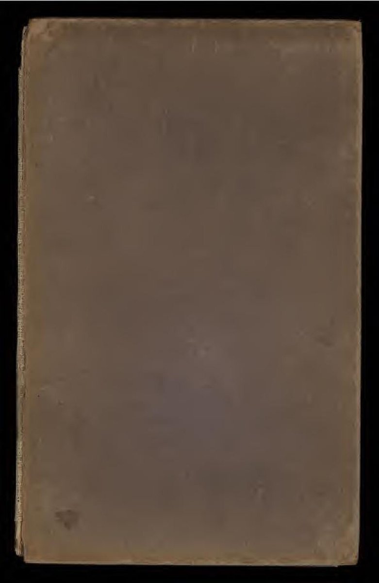 Canine Resort Madrid