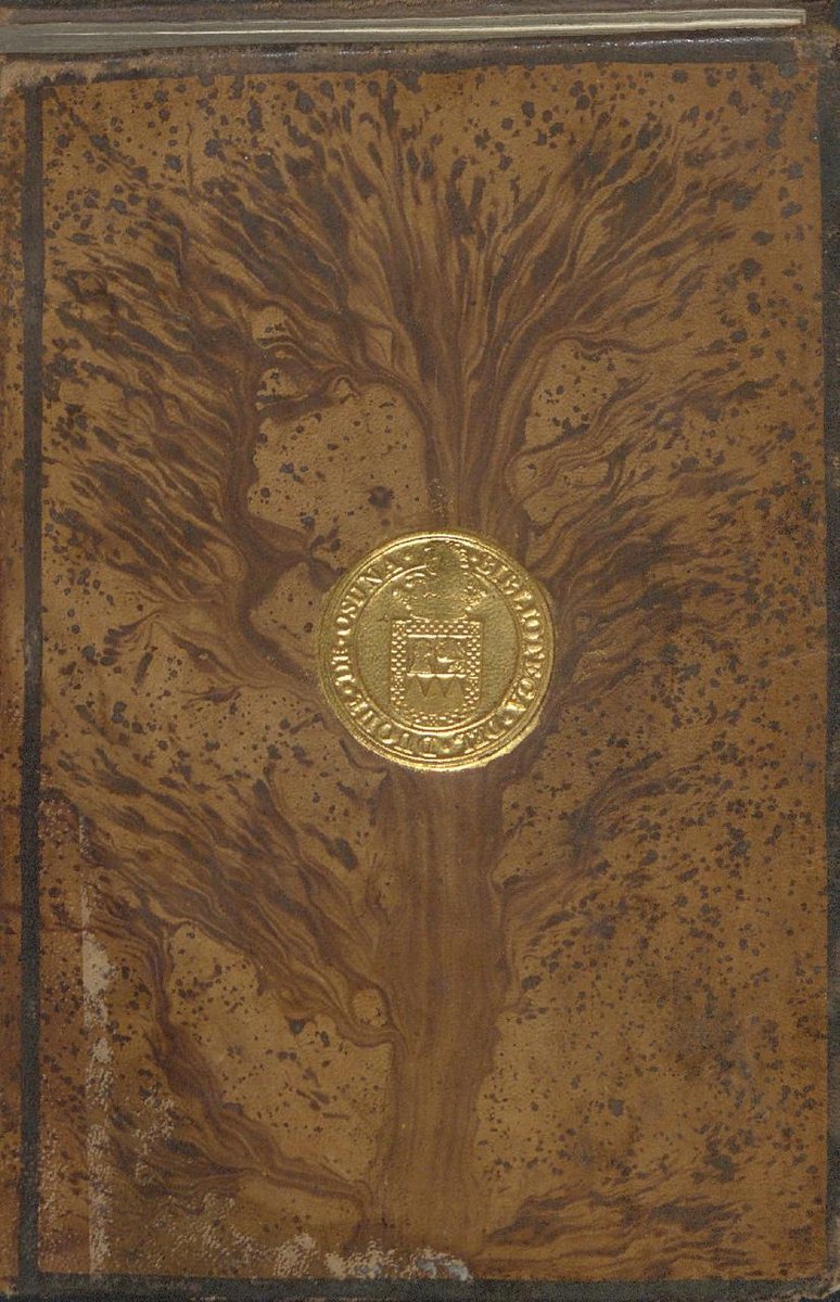 Educación Canina Madrid