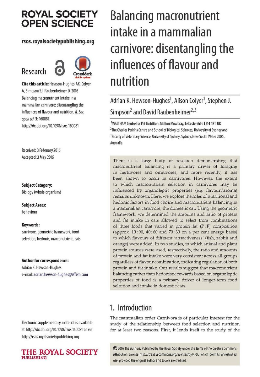 Finding a Vet in Madrid