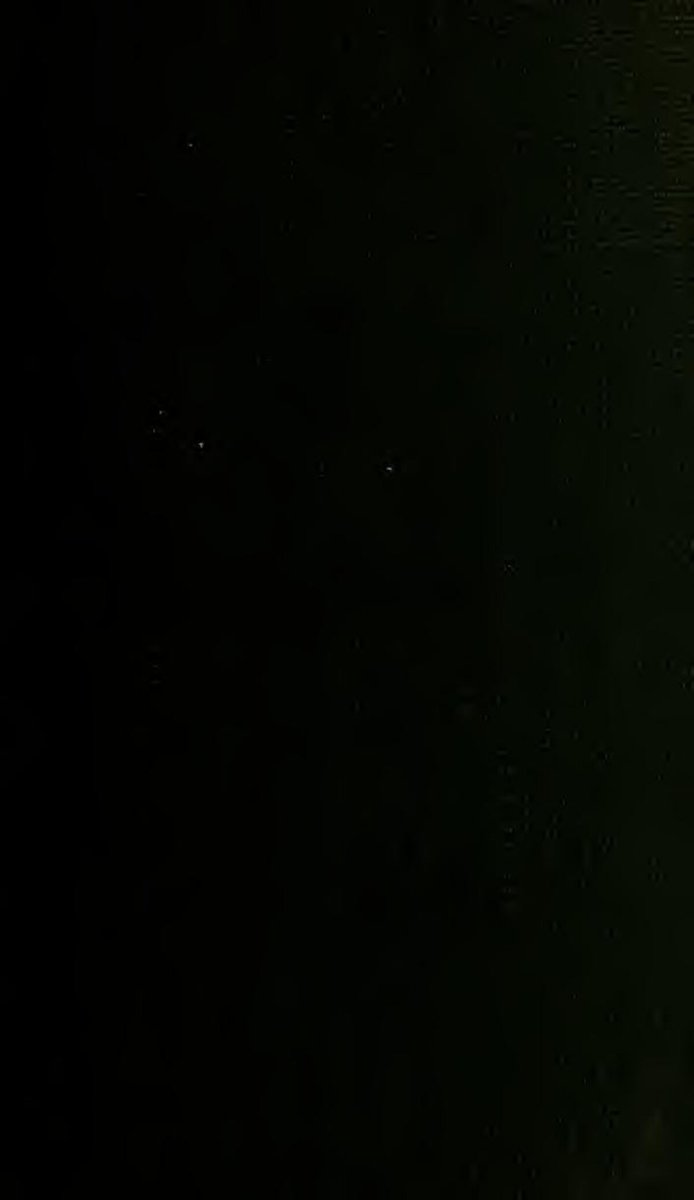 Madrid Dog Parks Guide