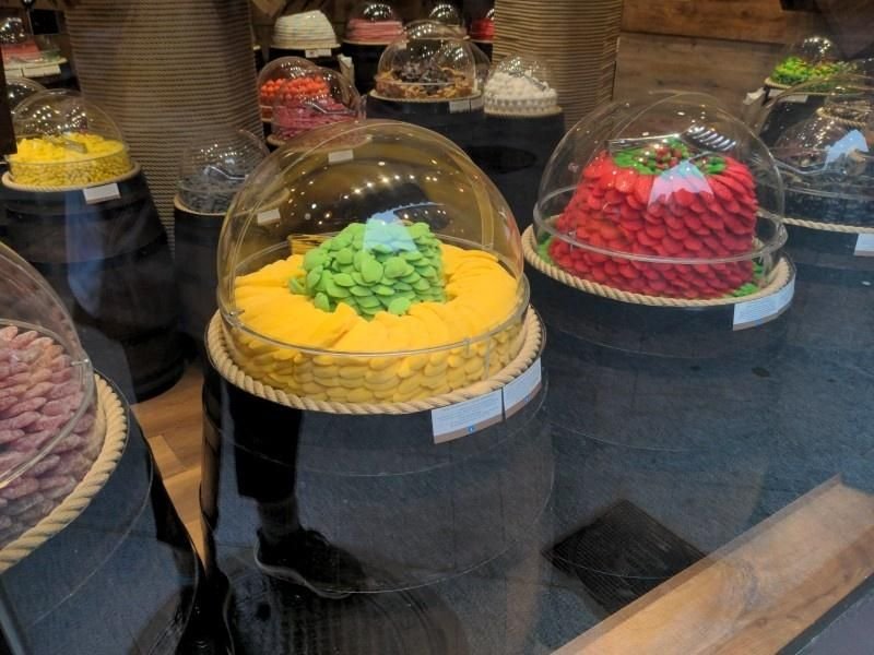 Madrid Microchipping & Registration