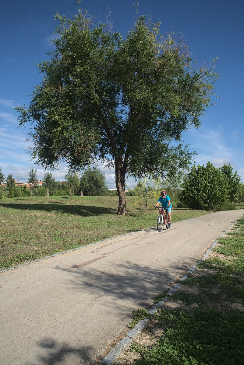 Parque Lineal del Manzanares