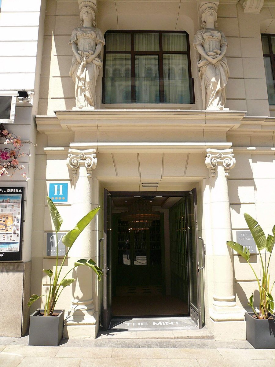 Vincci The Mint
