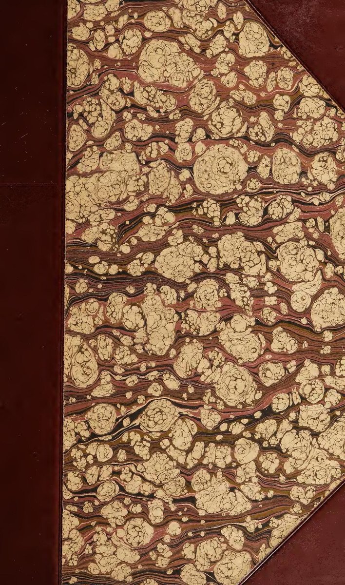 La Clinica degli Animali