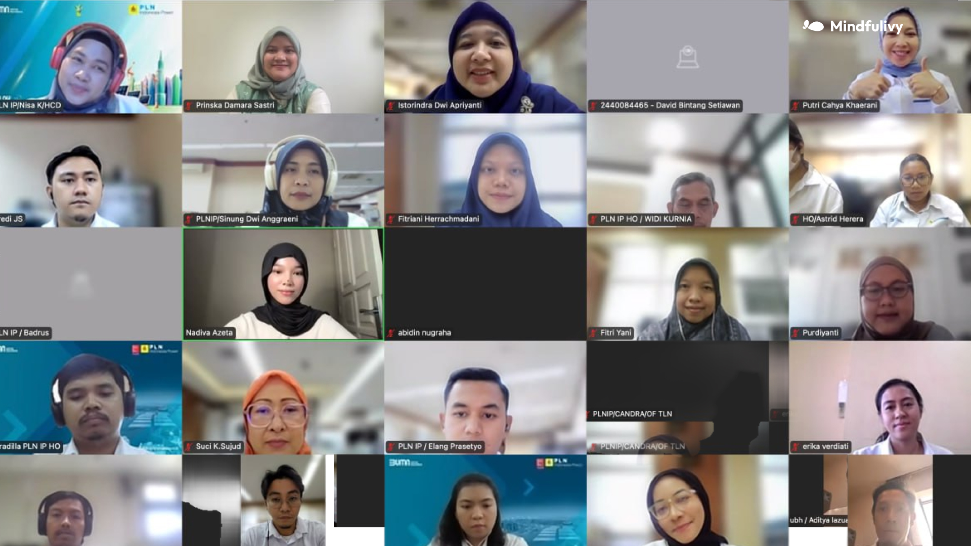 Kerjasama Mindfulivy dengan PLN