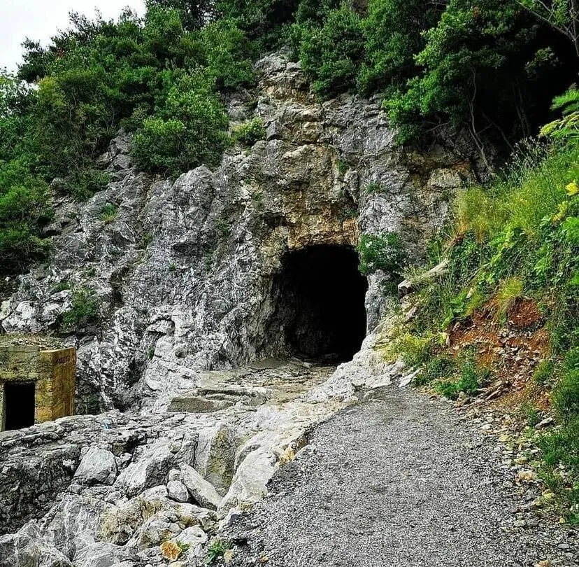 Varagel Tüneli