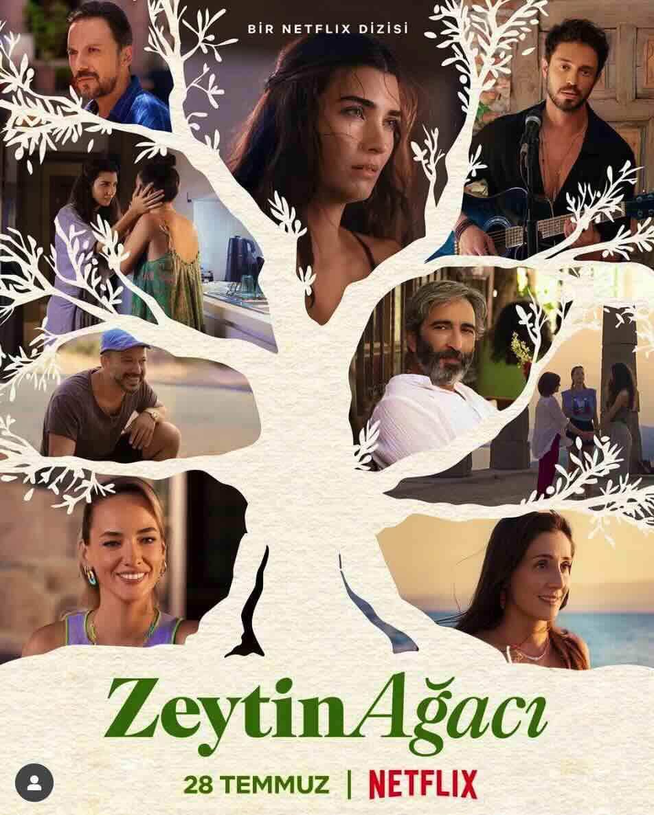 Zeytin Ağacı