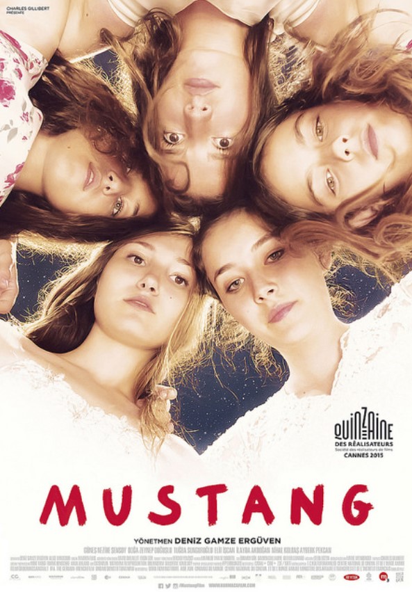 Mustang