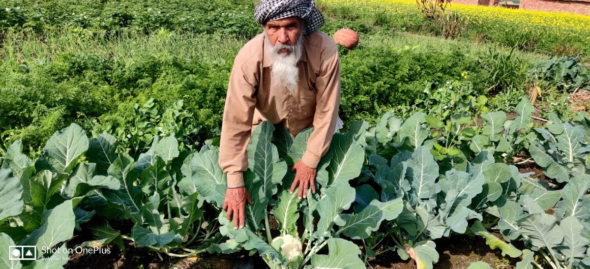 Rural Development