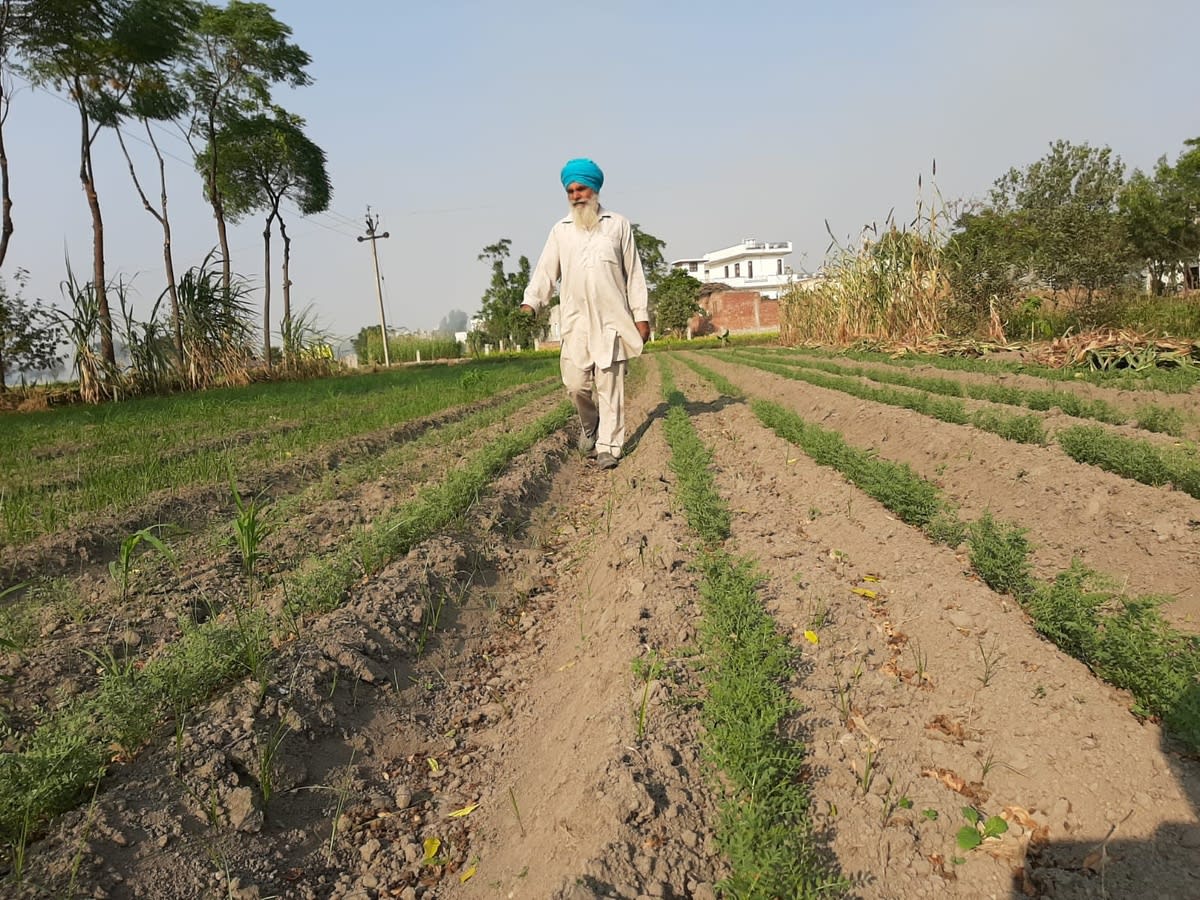 Rural Development