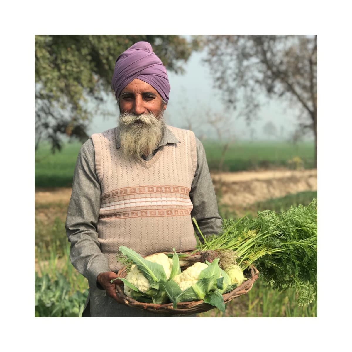 Rural Development