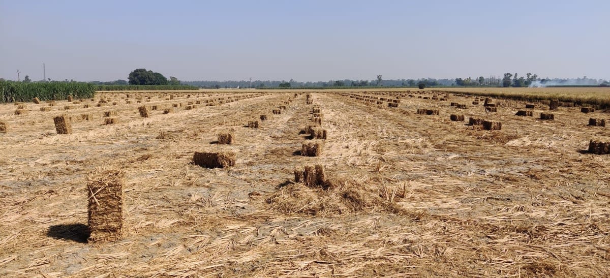 Rural Development