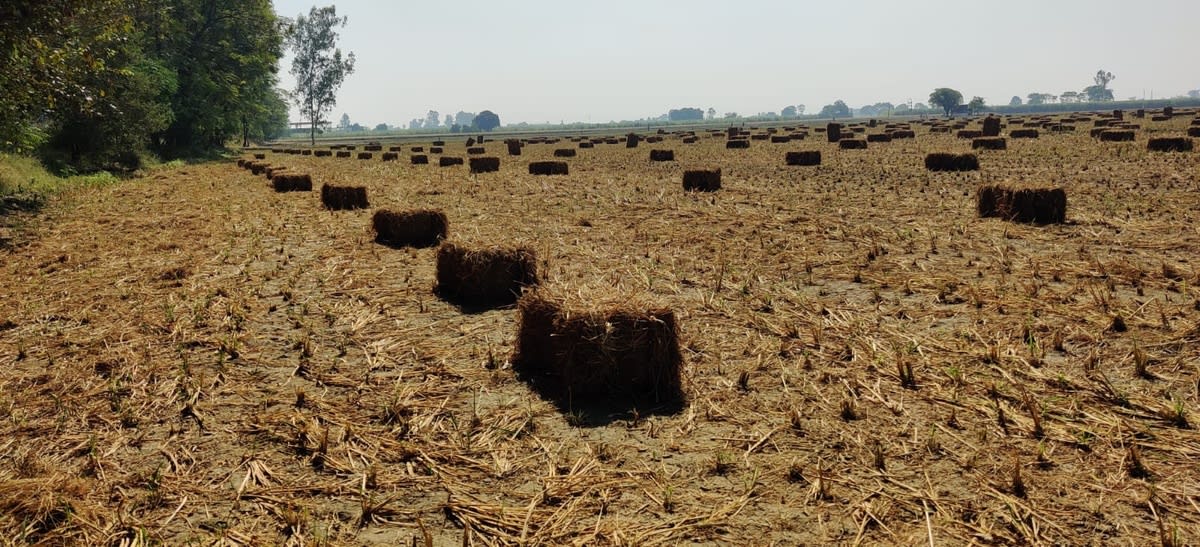 Rural Development