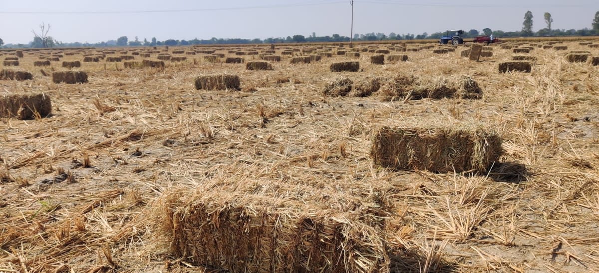 Rural Development