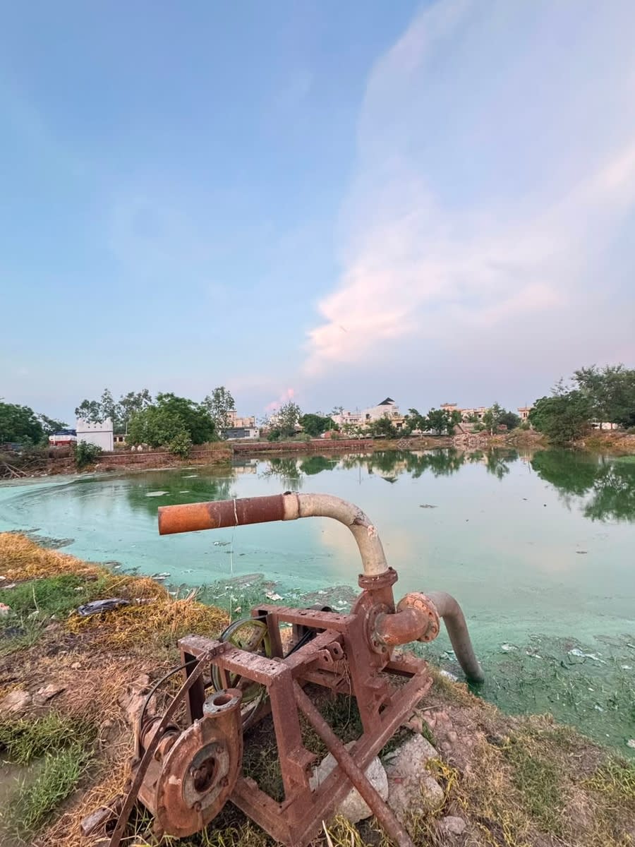 Blog image for Village Pond Restoration: Reviving Water Resources for Rural Prosperity