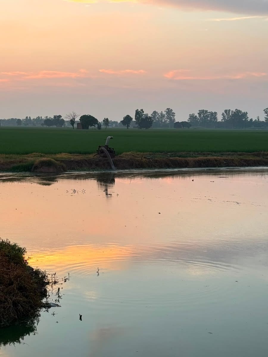 Blog image for Village Pond Restoration: Reviving Water Resources for Rural Prosperity