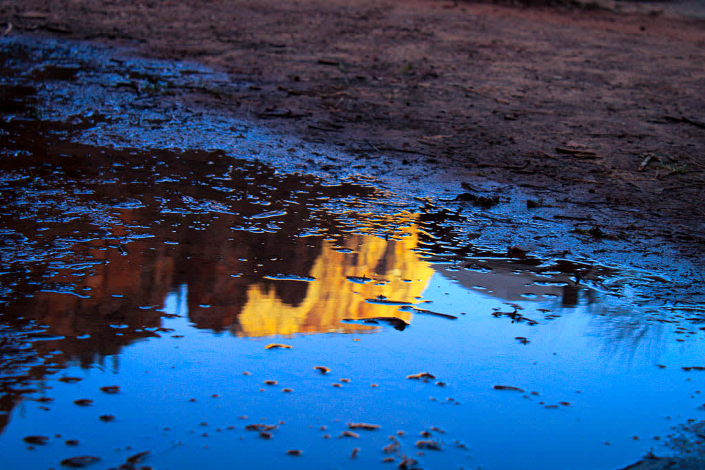 img of Ep. 9: Spring Break!