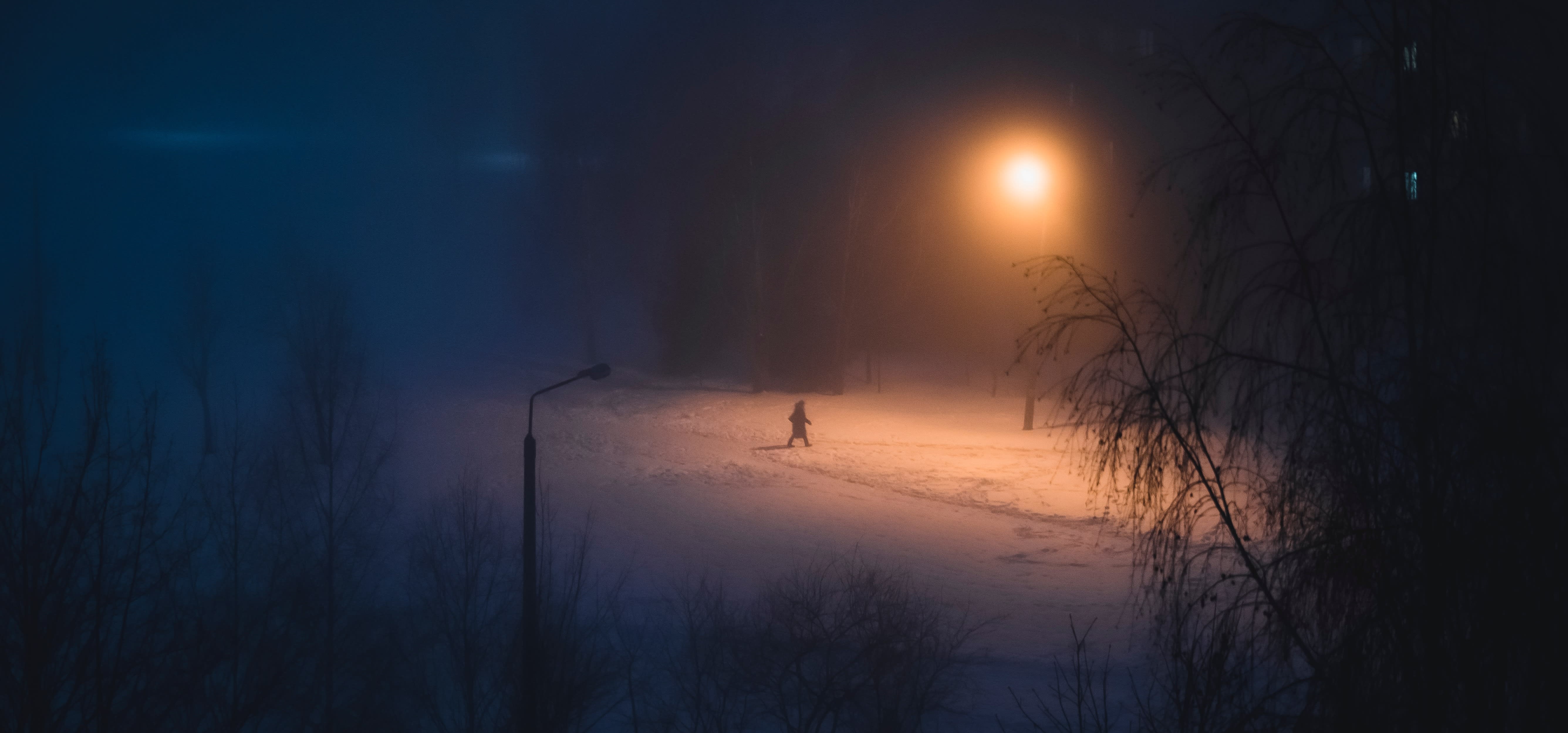 img of Newsletter #5