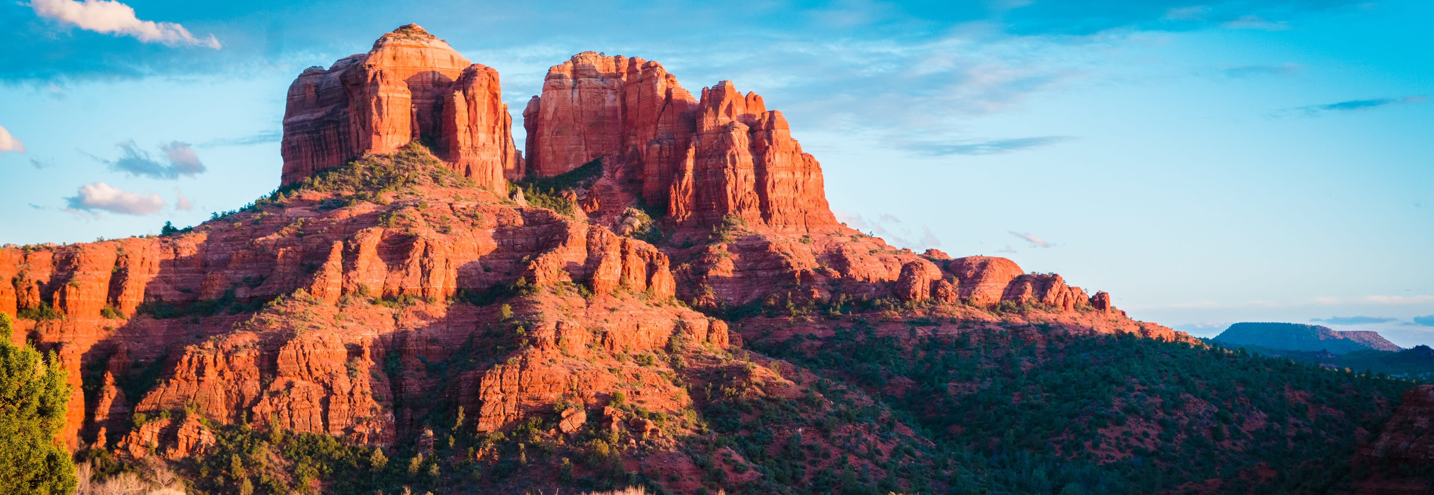 img of Newsletter #7