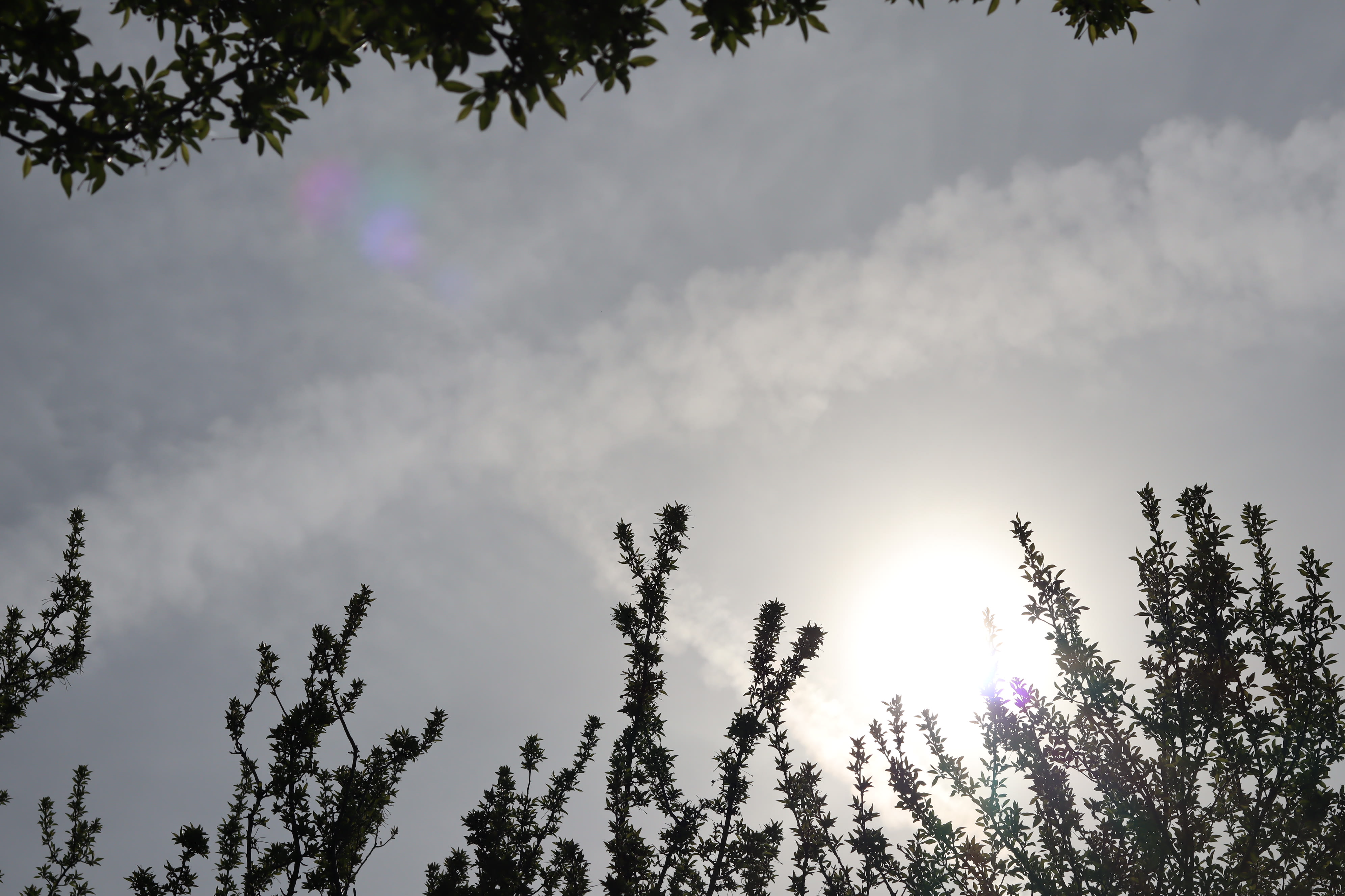 img of Ep. 12: Grounded