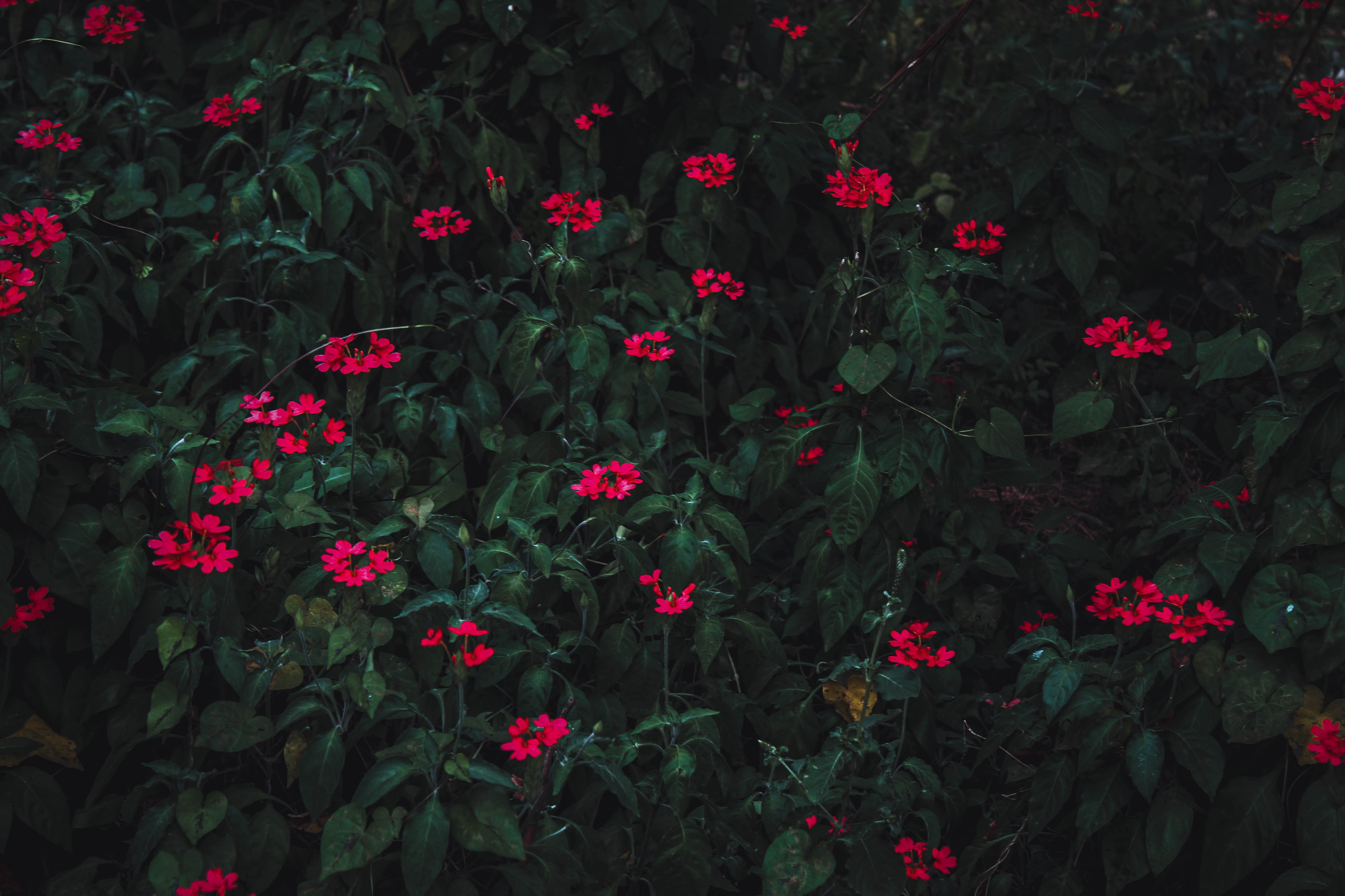 img of Ep. 14: Goodbye.