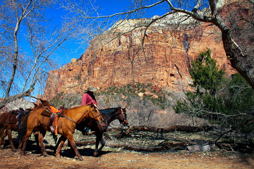 Stepping into Zion feels , in more ways than one, as if you have walked back into the past.