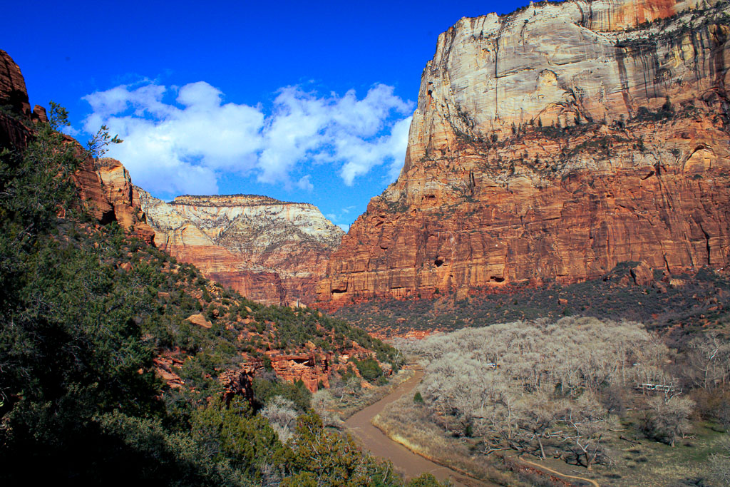 Views across the canyons of Zion