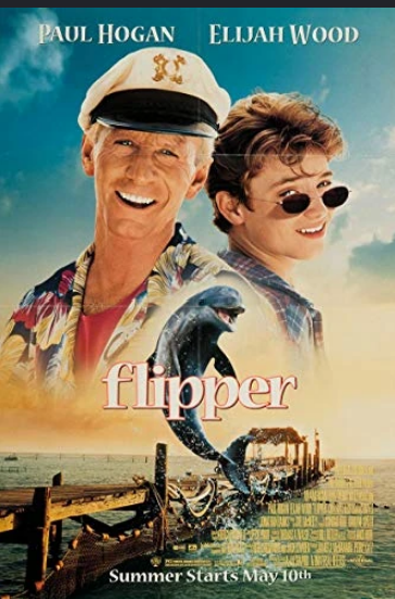 Flipper cover