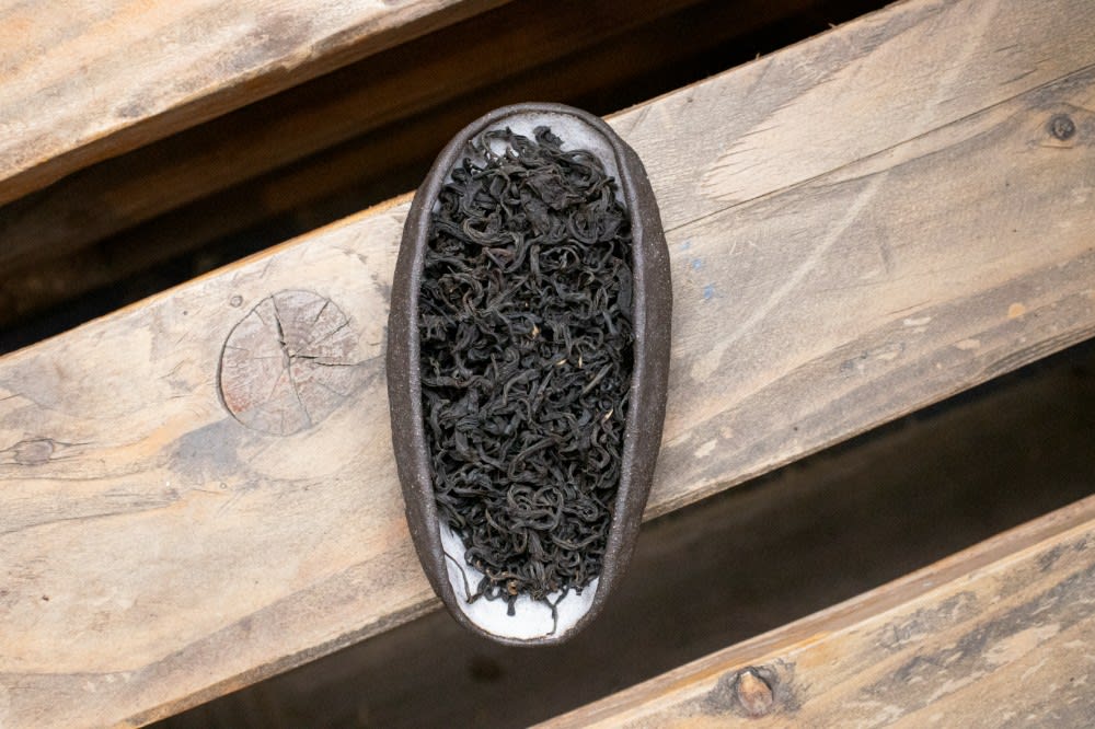 Black GURIA, 3 leaves, 2026