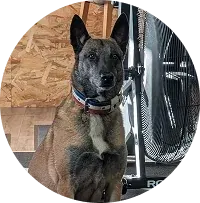 Photo de profil de Naïsta, Mascotte