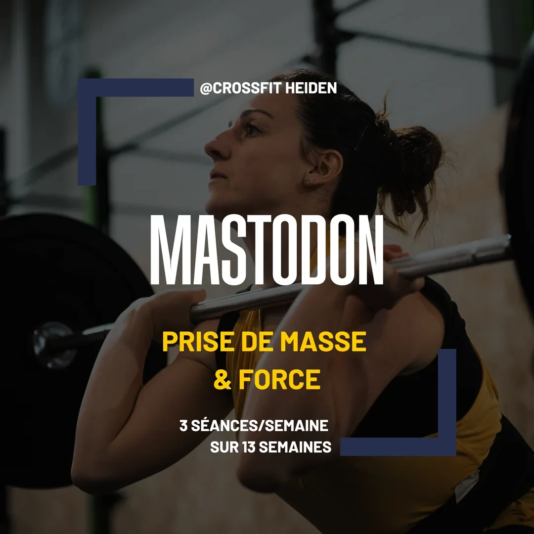 Affiche du programme MASTODON