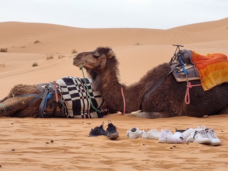 14 Days in Morocco from Marrakech