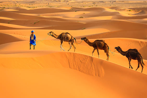 6-Day Tour from Marrakech to Fes - Image 2